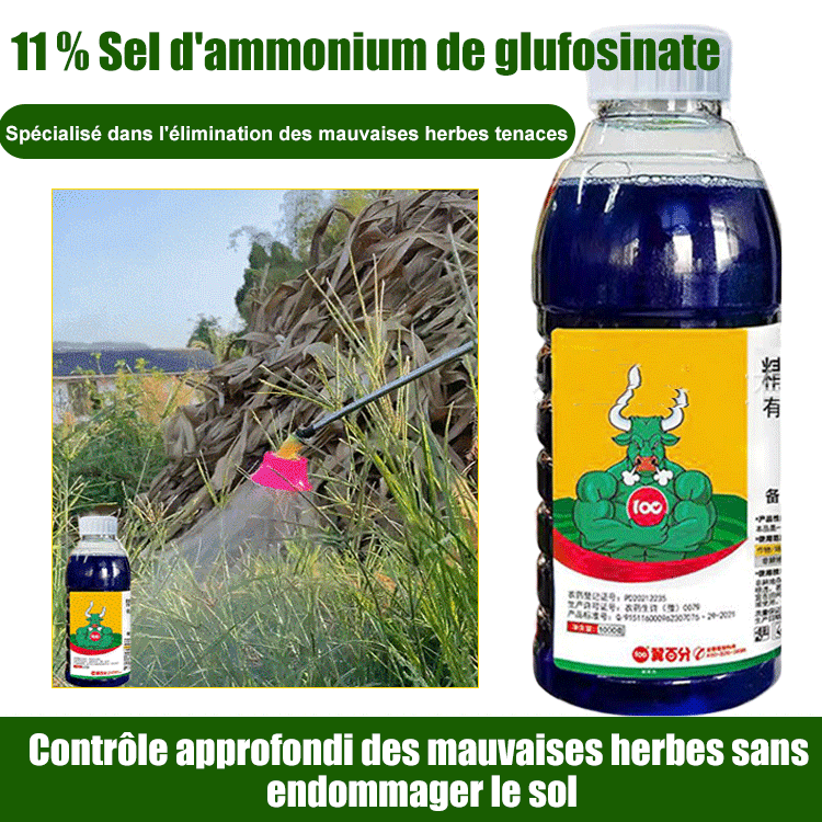 Herbicide Glufosinate à haute concentration -GB